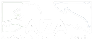 Aiza